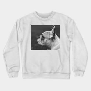 Wistful monochrome Frenchie Crewneck Sweatshirt